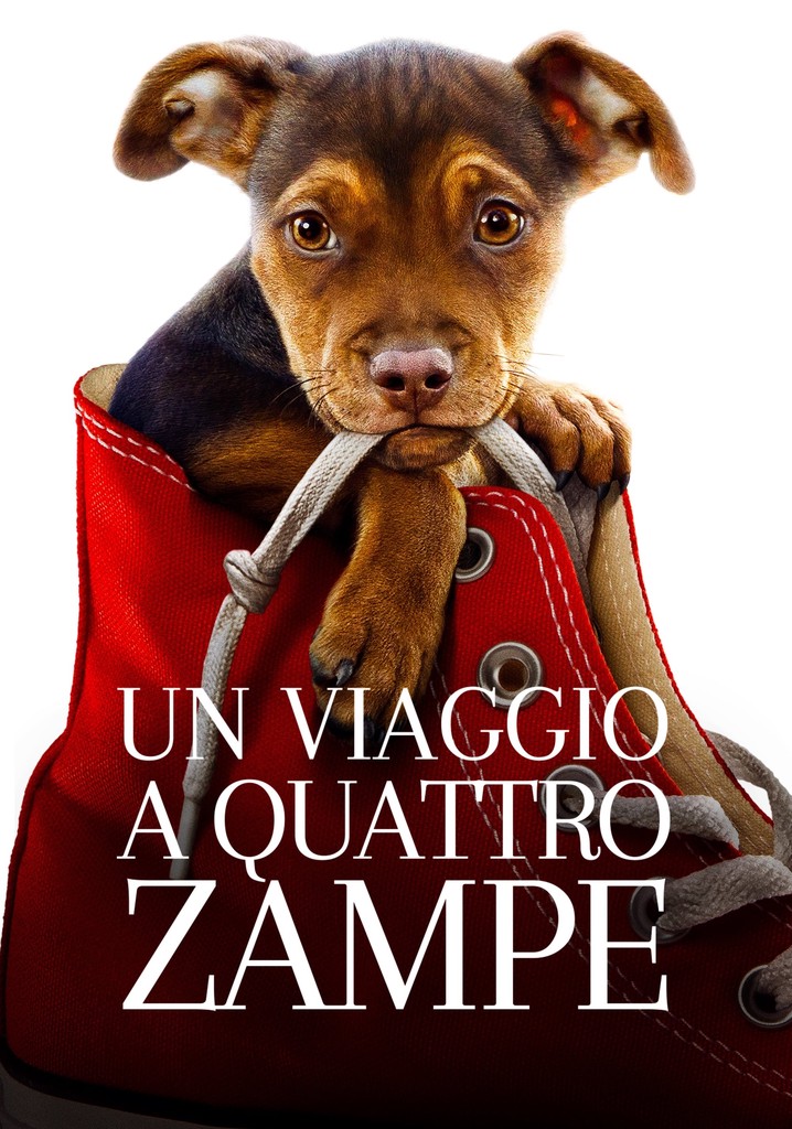 Un viaggio a quattro zampe guarda streaming online